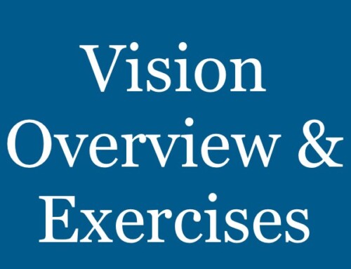 Descripción general y ejercicio de la declaración de la visión