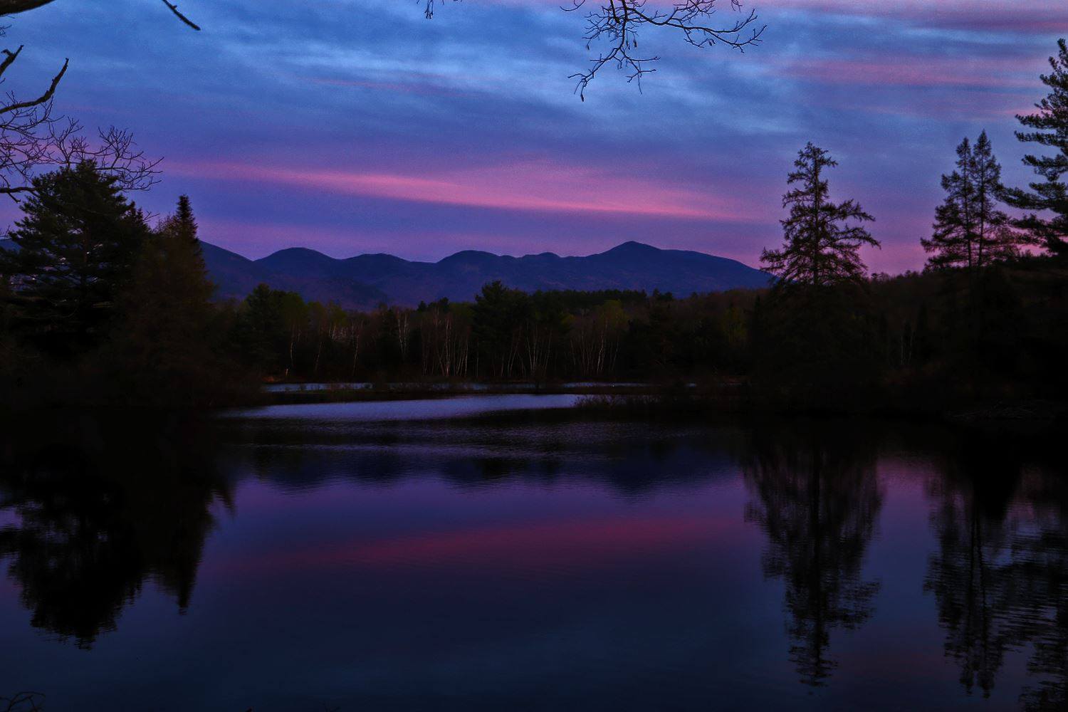 nh state photo